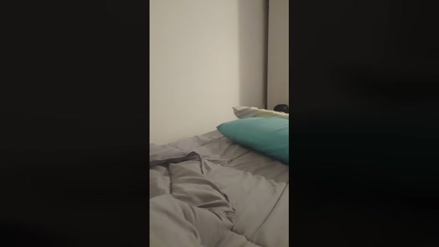 miputitta  26-10-2022